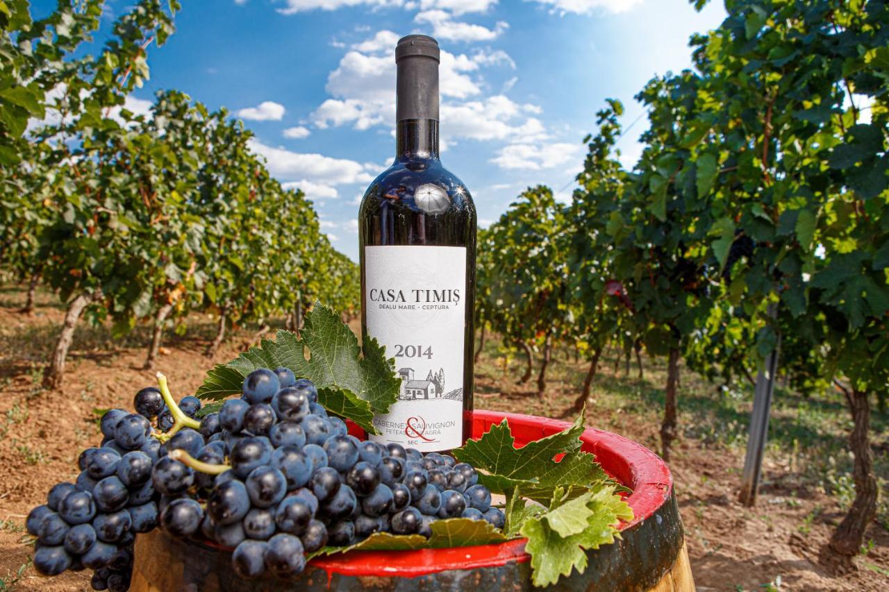 Chitorani Casa Timis - Wellness & Spa Resort מראה חיצוני תמונה A bottle of wine from the Penedès region