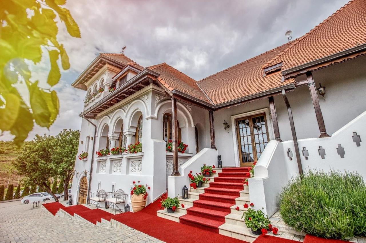 Chitorani Casa Timis - Wellness & Spa Resort מראה חיצוני תמונה The entrance of the winery