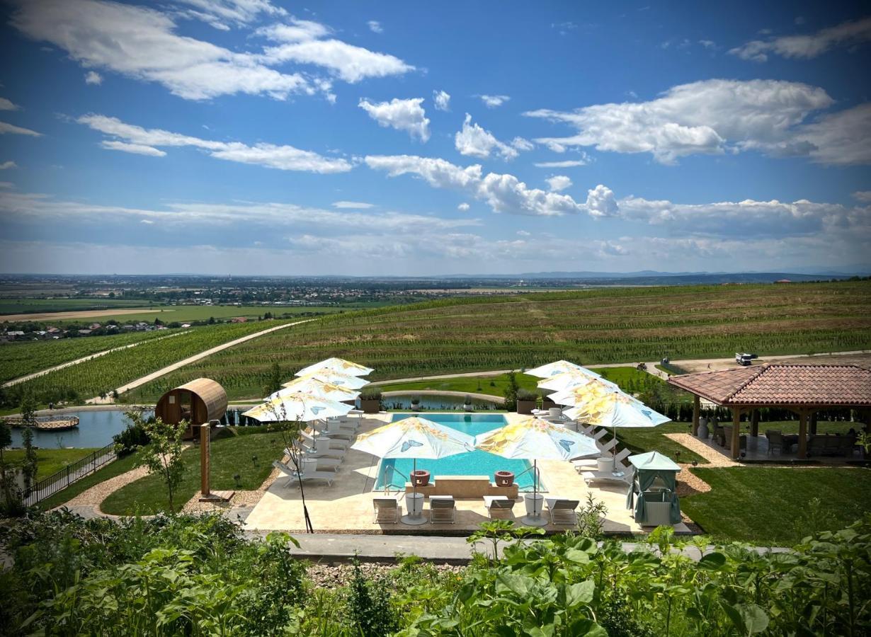 Chitorani Casa Timis - Wellness & Spa Resort מראה חיצוני תמונה View of the resort
