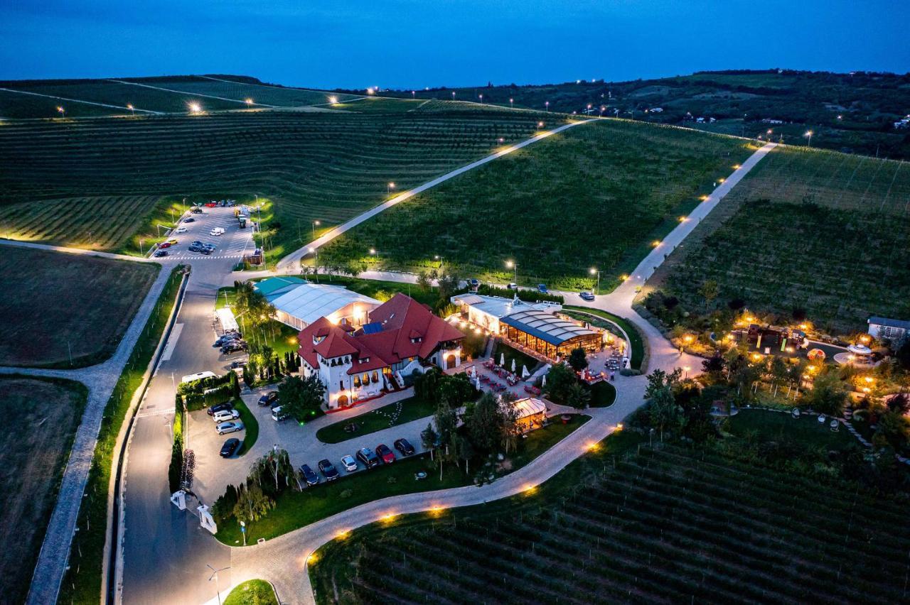 Chitorani Casa Timis - Wellness & Spa Resort מראה חיצוני תמונה Aerial view of the winery